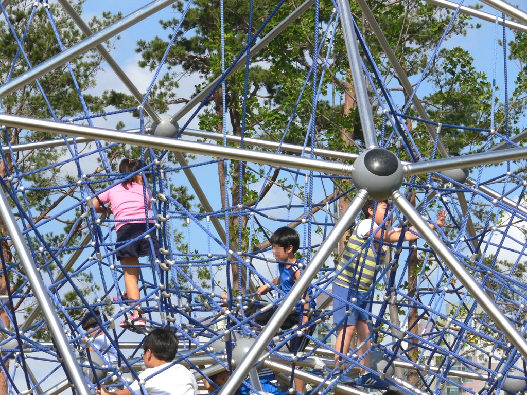 Juego Cuerdas Domo Gigante