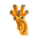 Cuerda Armada por metro líneal - diam. 16mm - Azul