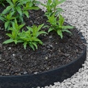 Borde de Jardín de Plástico Reciclado