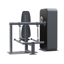 Peso Variable - Trícep Pushdown